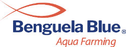 Benguela Blue Aqua Farming